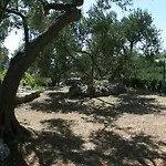 House With A Parking Space - 6770 בית נופש *