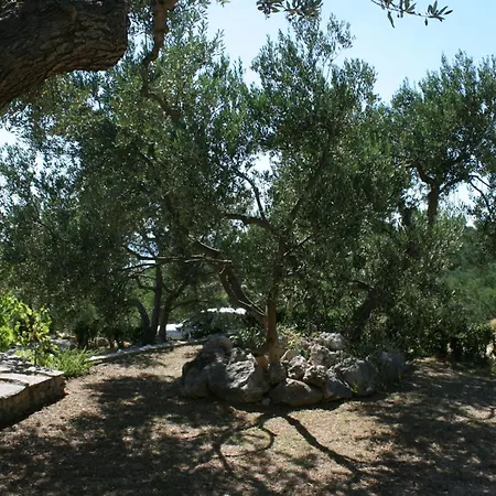 בית נופש House With A Parking Space - 6770